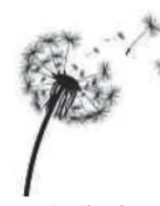 Portrait von Claude Feiereisen