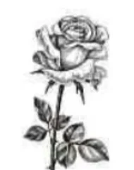 Portrait von Jean-Paul Weiland