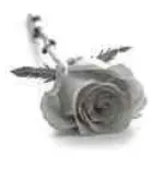 Portrait von Marcel Scheer