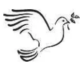 Portrait von René Meis