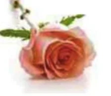 Portrait von Renée Glock-Silbereisen