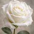Portrait von Anita Rausch